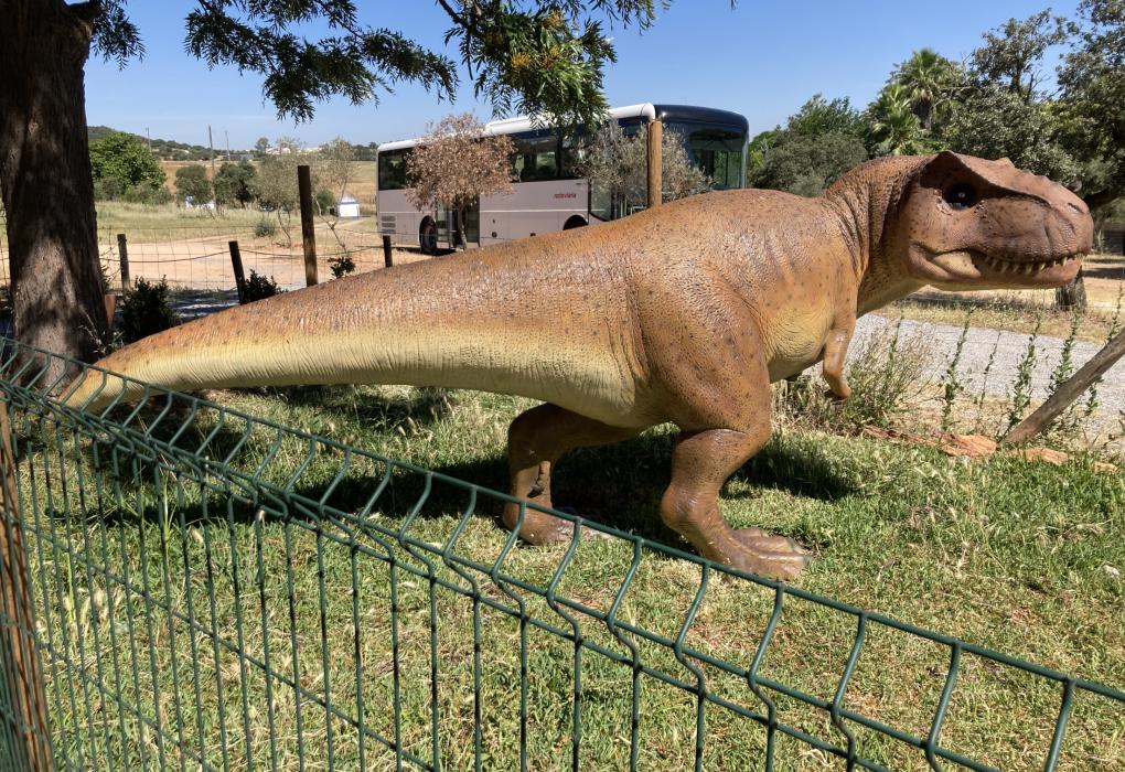 Passeio ao Parque Megafauna