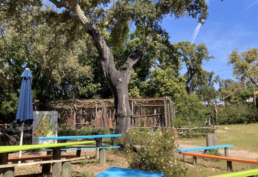 Passeio ao Monte Selvagem