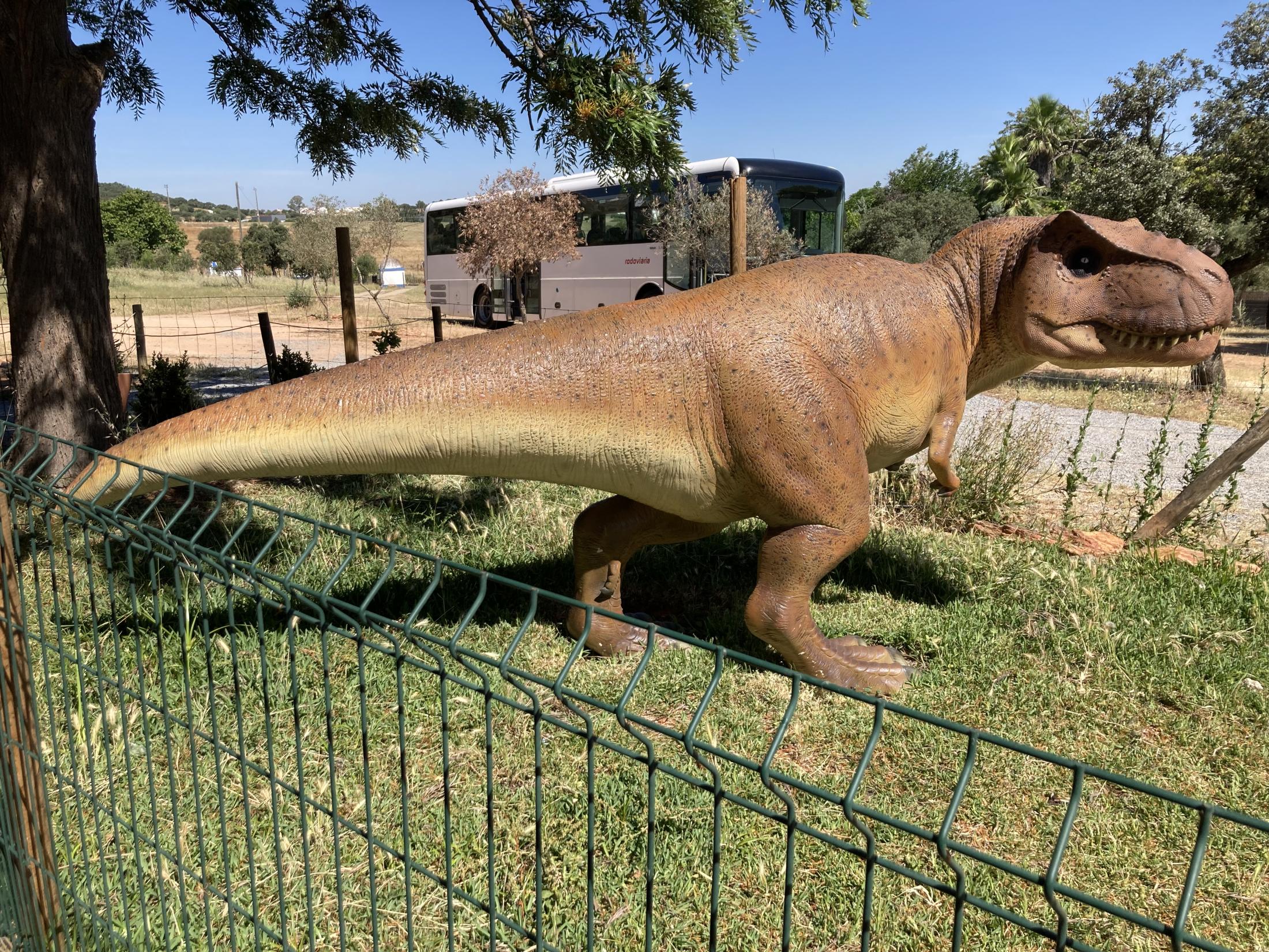 Passeio ao Parque Megafauna